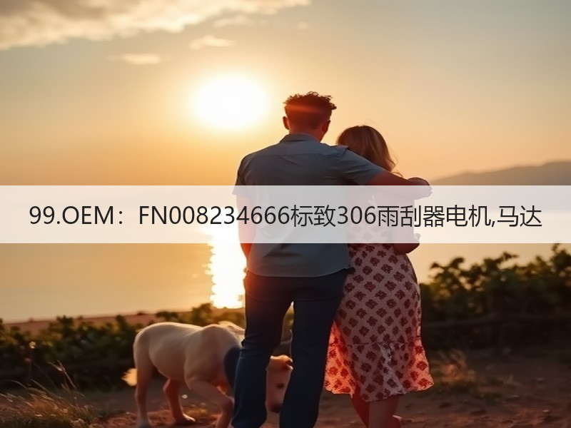 99.OEM：FN008234666标致306雨刮器电机,马达