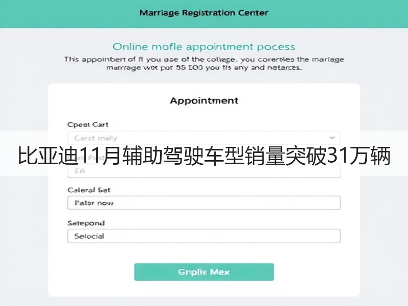 比亚迪11月辅助驾驶车型销量突破31万辆 比亚迪11月辅助驾驶车型销量突破31万辆