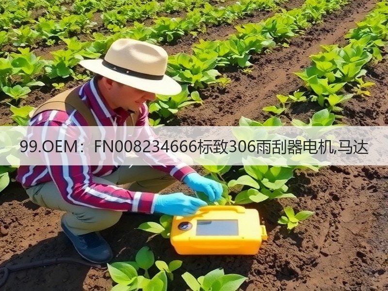 99.OEM：FN008234666标致306雨刮器电机,马达