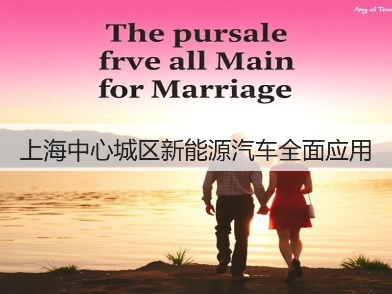 上海中心城区新能源汽车全面应用