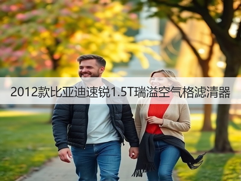 2012款比亚迪速锐1.5T瑞溢空气格滤清器