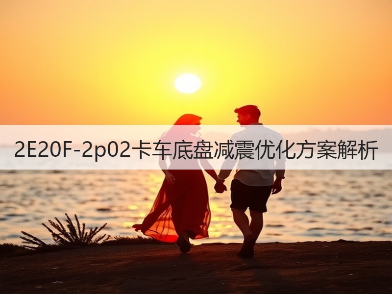 2E20F-2p02卡车底盘减震优化方案解析