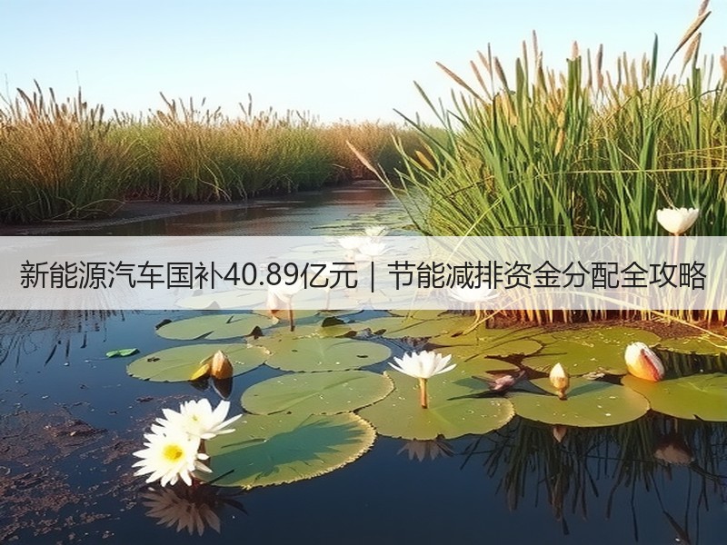 新能源汽车国补40.89亿元|节能减排资金分配全攻略 新能源汽车国补40.89亿元|节能减排资金分配全攻略