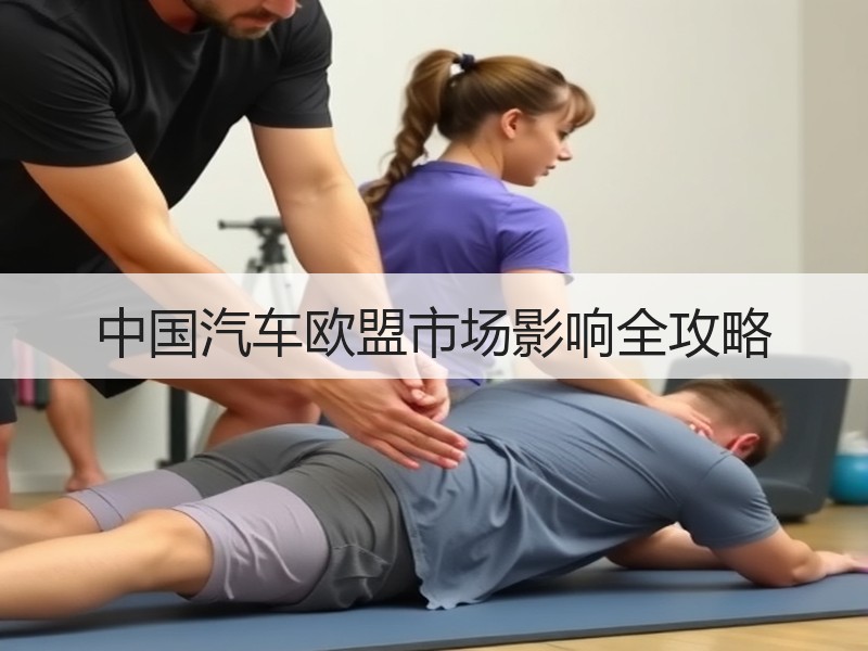 中国汽车欧盟市场影响全攻略