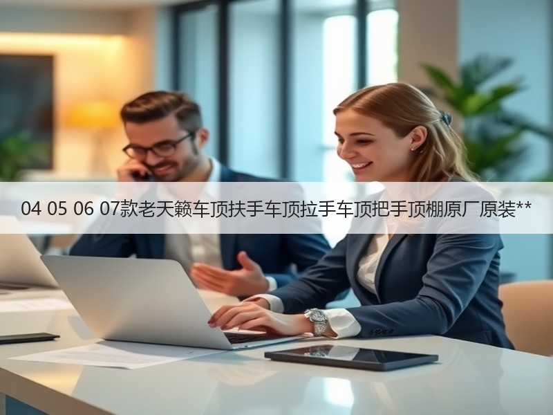 04 05 06 07款老天籁车顶扶手车顶拉手车顶把手顶棚原厂原装**