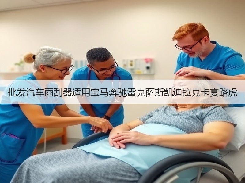 批发汽车雨刮器适用宝马奔驰雷克萨斯凯迪拉克卡宴路虎