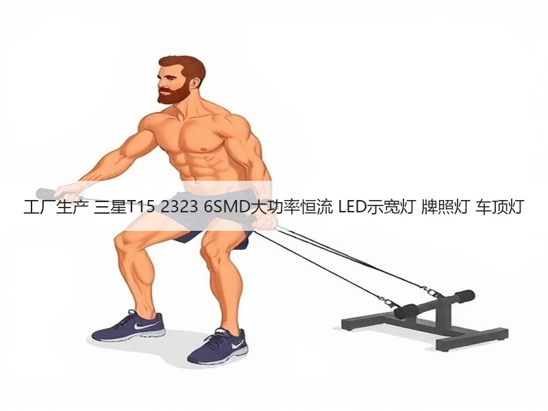 工厂生产 三星T15 2323 6SMD大功率恒流 LED示宽灯 牌照灯 车顶灯 工厂生产 三星T15 2323 6SMD大功率恒流 LED示宽灯 牌照灯 车顶灯