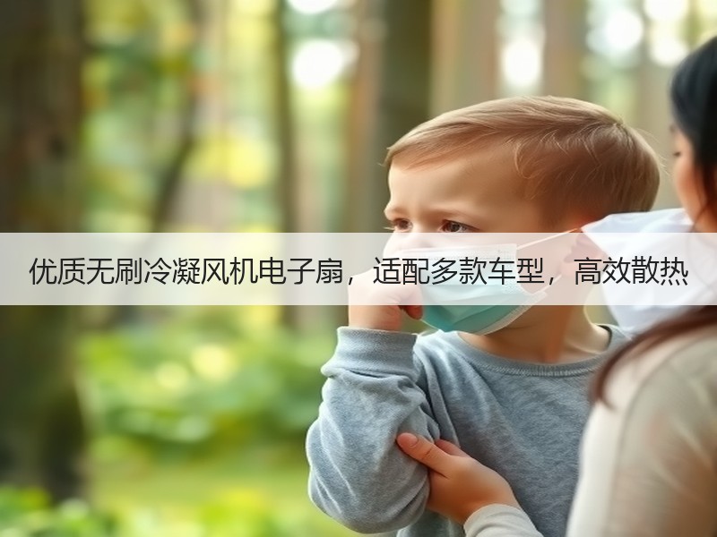 优质无刷冷凝风机电子扇,适配多款车型,高效散热 优质无刷冷凝风机电子扇,适配多款车型,高效散热