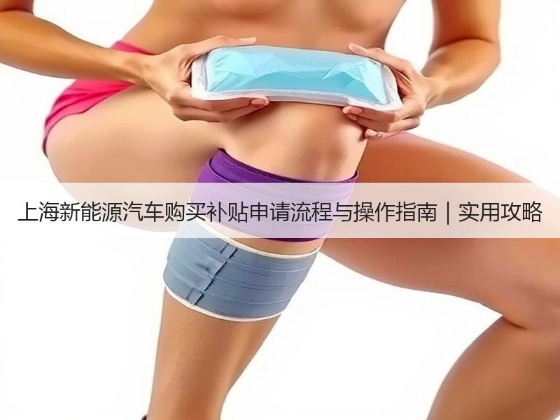 上海新能源汽车购买补贴申请流程与操作指南|实用攻略 上海新能源汽车购买补贴申请流程与操作指南|实用攻略