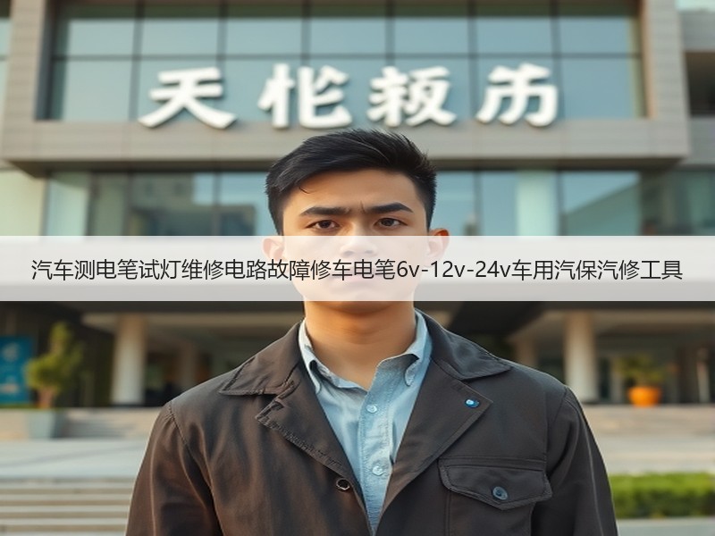 汽车测电笔试灯维修电路故障修车电笔6v-12v-24v车用汽保汽修工具