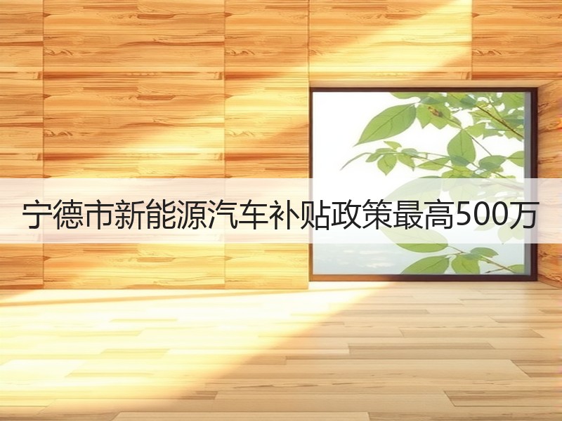 宁德市新能源汽车补贴政策最高500万