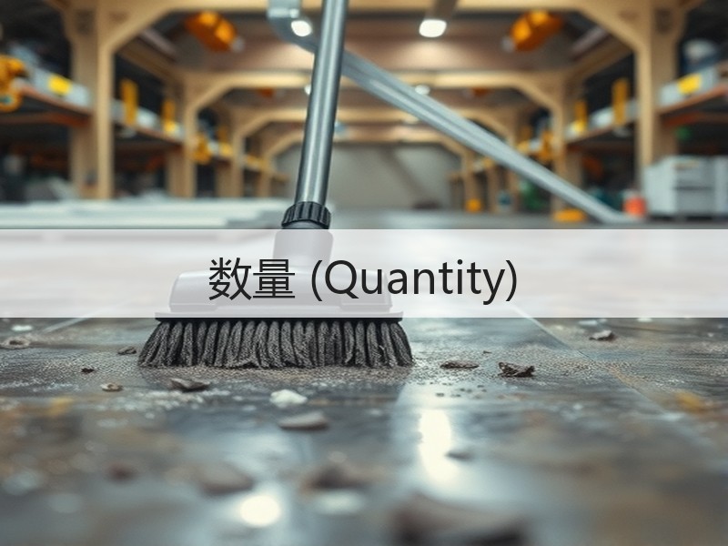 数量 (Quantity)