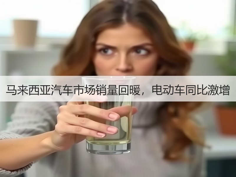 马来西亚汽车市场销量回暖，电动车同比激增