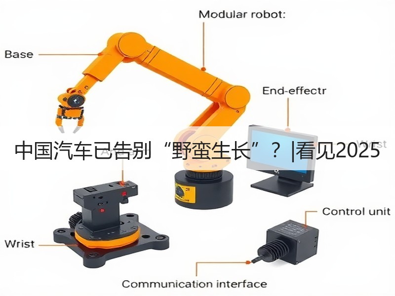 中国汽车已告别“野蛮生长”？|看见2025