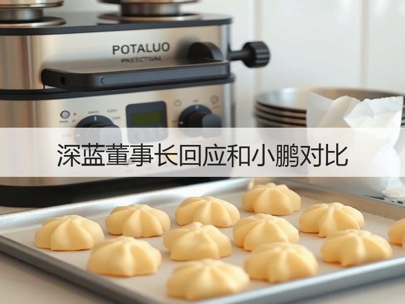 深蓝董事长回应和小鹏对比