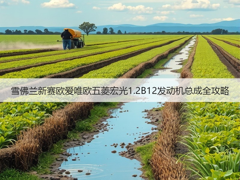 雪佛兰新赛欧爱唯欧五菱宏光1.2B12发动机总成全攻略 雪佛兰新赛欧爱唯欧五菱宏光1.2B12发动机总成全攻略