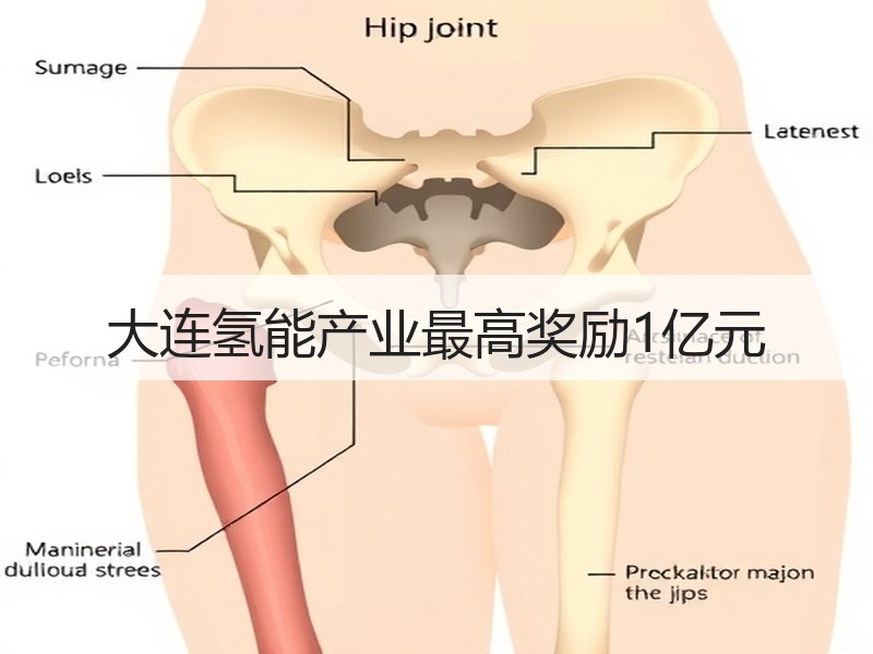大连氢能产业最高奖励1亿元