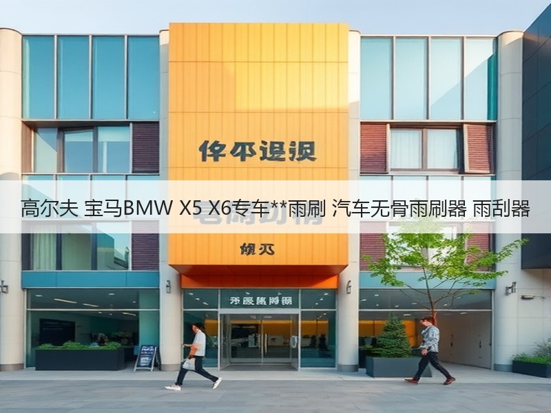 高尔夫 宝马BMW X5 X6专车**雨刷 汽车无骨雨刷器 雨刮器