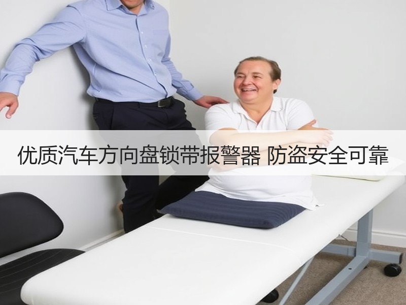 优质汽车方向盘锁带报警器 防盗安全可靠