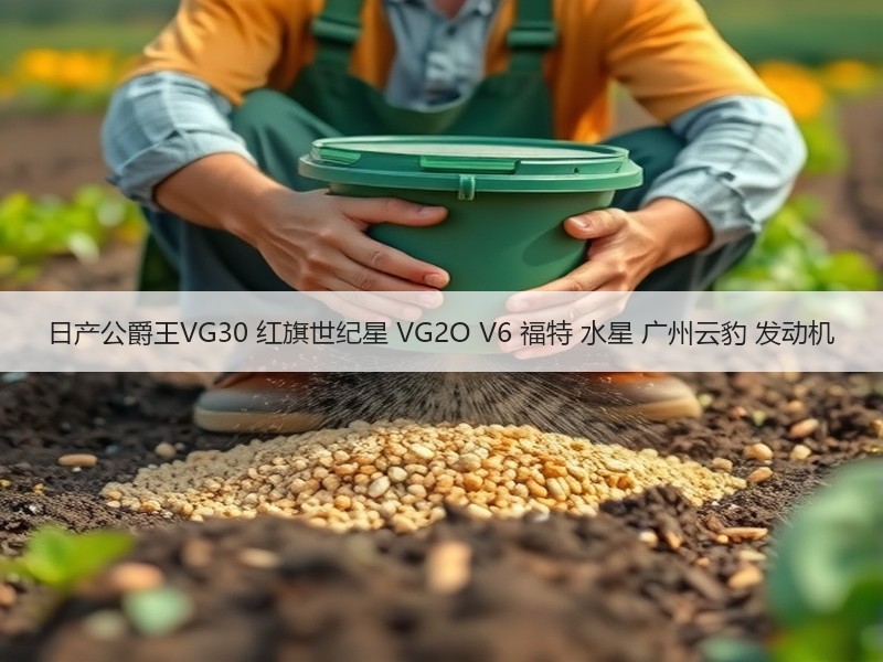日产公爵王VG30 红旗世纪星 VG2O V6 福特 水星 广州云豹 发动机 日产公爵王VG30 红旗世纪星 VG2O V6 福特 水星 广州云豹 发动机