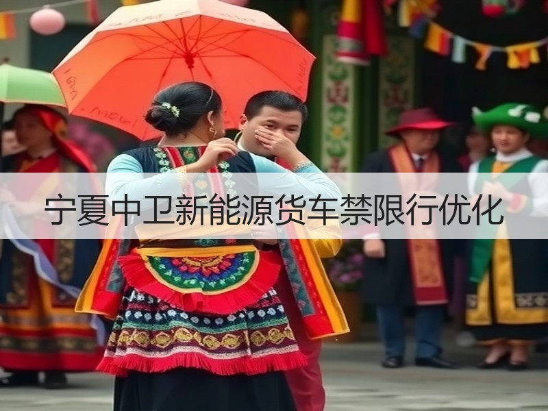 宁夏中卫新能源货车禁限行优化