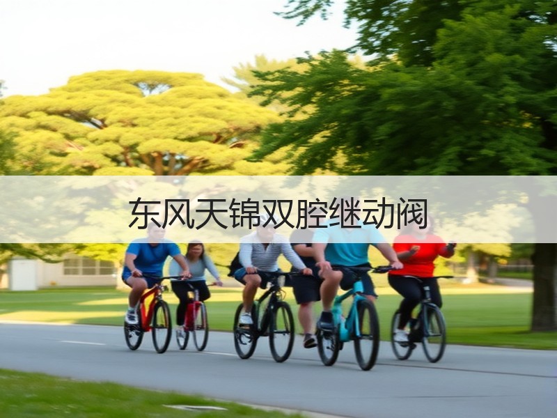 东风天锦双腔继动阀