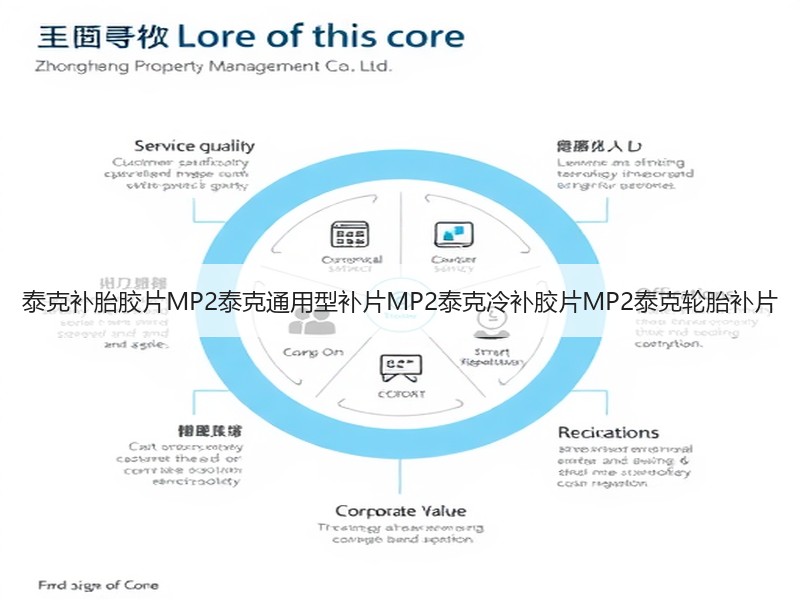 泰克补胎胶片MP2泰克通用型补片MP2泰克冷补胶片MP2泰克轮胎补片