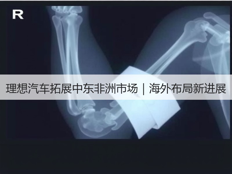 理想汽车拓展中东非洲市场｜海外布局新进展