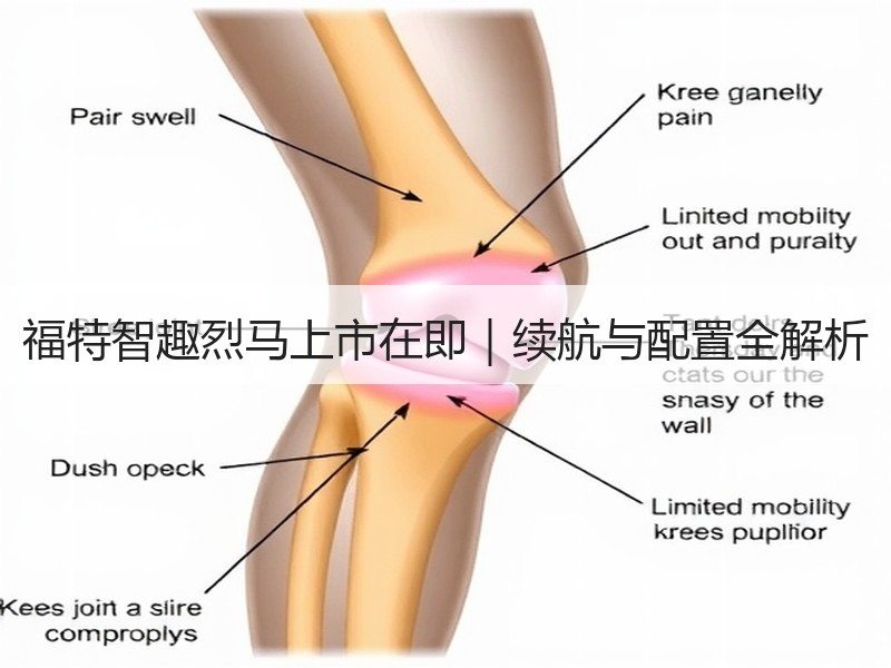 福特智趣烈马上市在即|续航与配置全解析 福特智趣烈马上市在即|续航与配置全解析