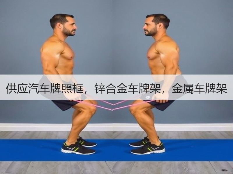 供应汽车牌照框，锌合金车牌架，金属车牌架