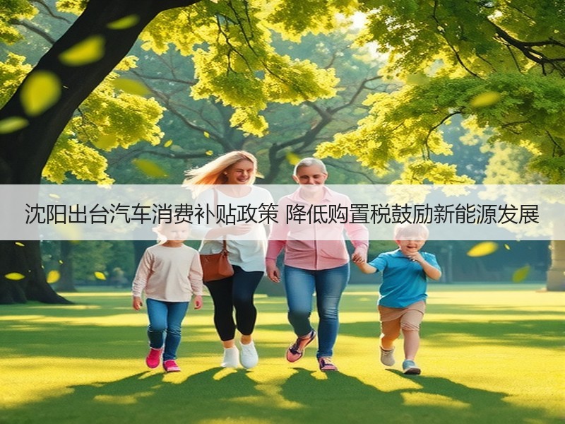 沈阳出台汽车消费补贴政策 降低购置税鼓励新能源发展 沈阳出台汽车消费补贴政策 降低购置税鼓励新能源发展