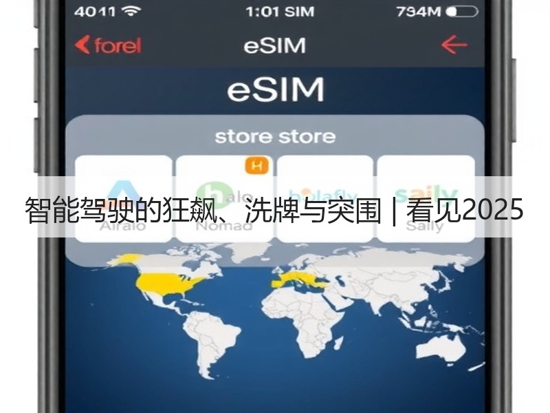 智能驾驶的狂飙、洗牌与突围 | 看见2025