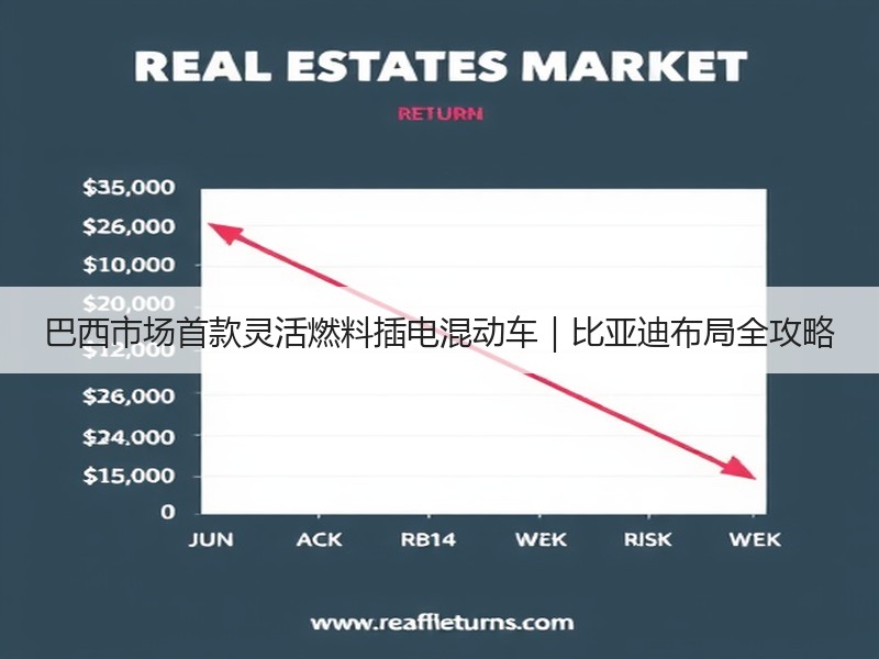 巴西市场首款灵活燃料插电混动车｜比亚迪布局全攻略