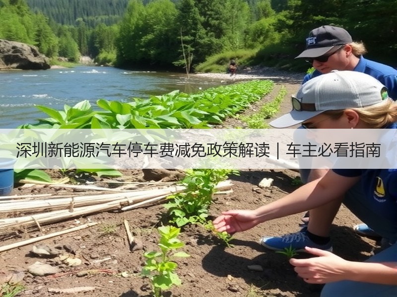 深圳新能源汽车停车费减免政策解读|车主必看指南 深圳新能源汽车停车费减免政策解读|车主必看指南