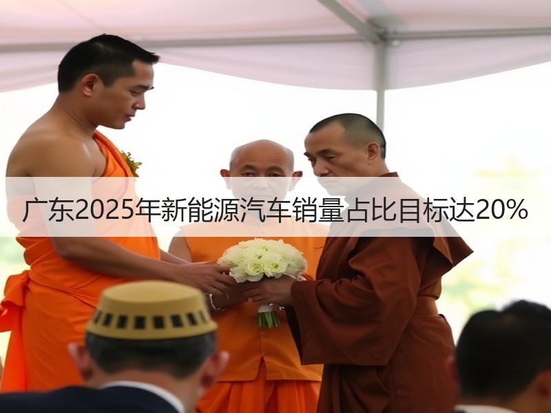 广东2025年新能源汽车销量占比目标达20% 广东2025年新能源汽车销量占比目标达20%