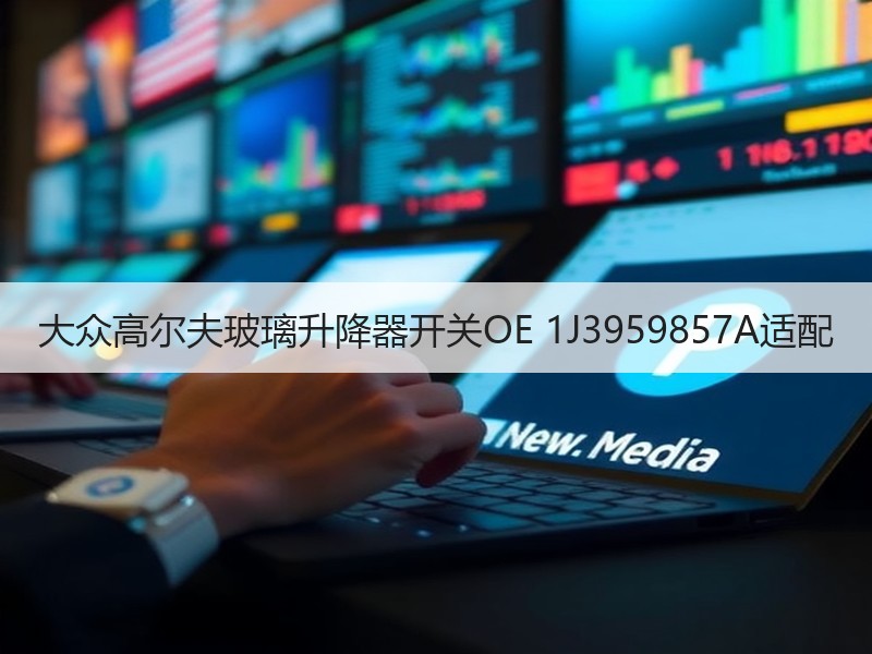 大众高尔夫玻璃升降器开关OE 1J3959857A适配 大众高尔夫玻璃升降器开关OE 1J3959857A适配
