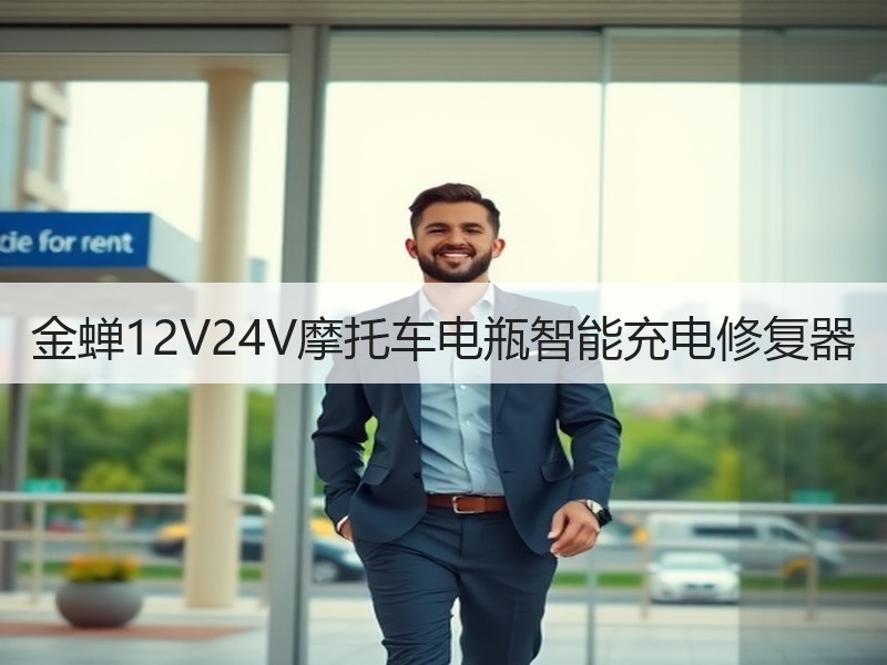 金蝉12V24V摩托车电瓶智能充电修复器
