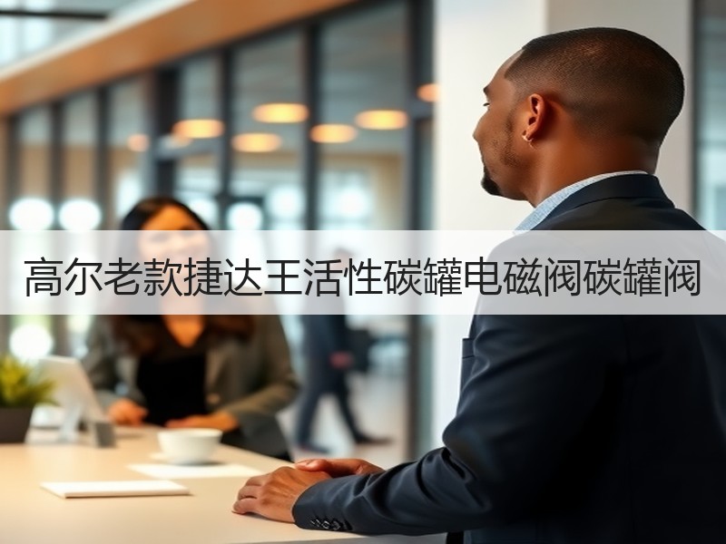 高尔老款捷达王活性碳罐电磁阀碳罐阀
