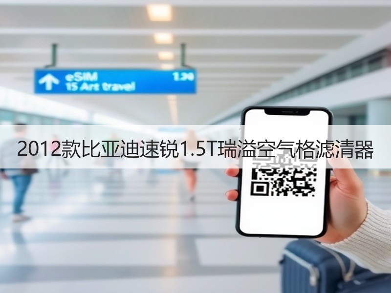 2012款比亚迪速锐1.5T瑞溢空气格滤清器