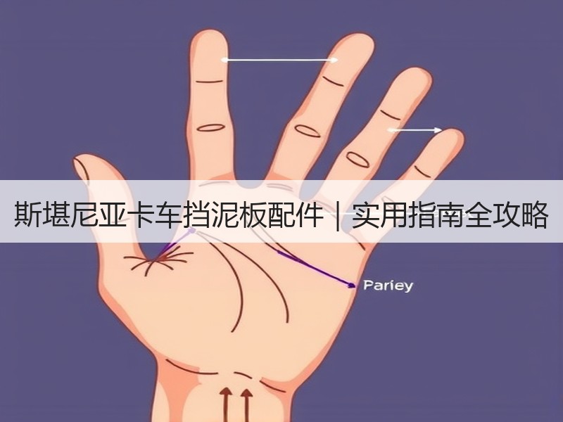 斯堪尼亚卡车挡泥板配件|实用指南全攻略 斯堪尼亚卡车挡泥板配件|实用指南全攻略