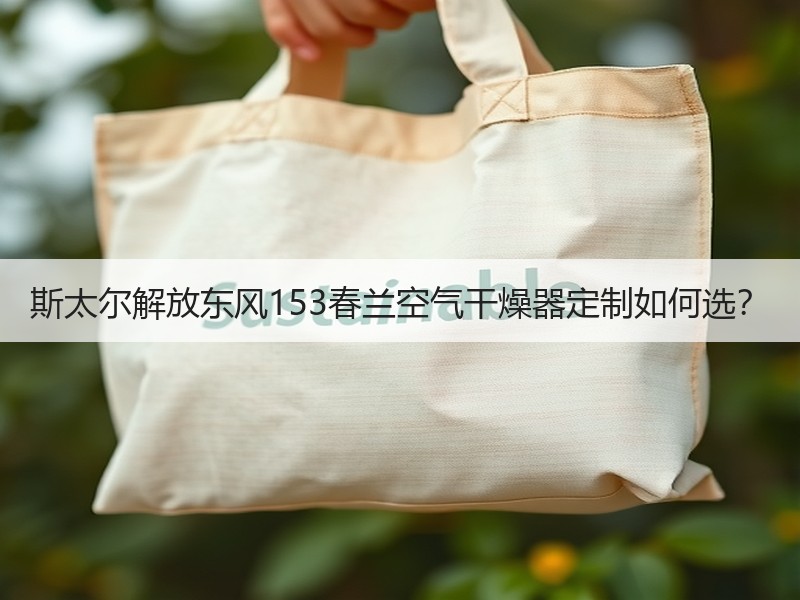 斯太尔解放东风153春兰空气干燥器定制如何选? 斯太尔解放东风153春兰空气干燥器定制如何选?