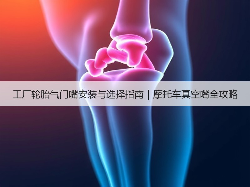 工厂轮胎气门嘴安装与选择指南|摩托车真空嘴全攻略 工厂轮胎气门嘴安装与选择指南|摩托车真空嘴全攻略