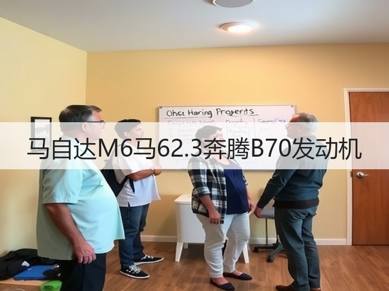 马自达M6马62.3奔腾B70发动机 马自达M6马62.3奔腾B70发动机