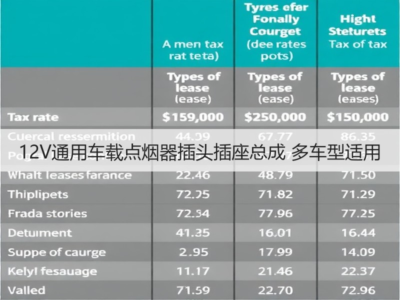 12V通用车载点烟器插头插座总成 多车型适用