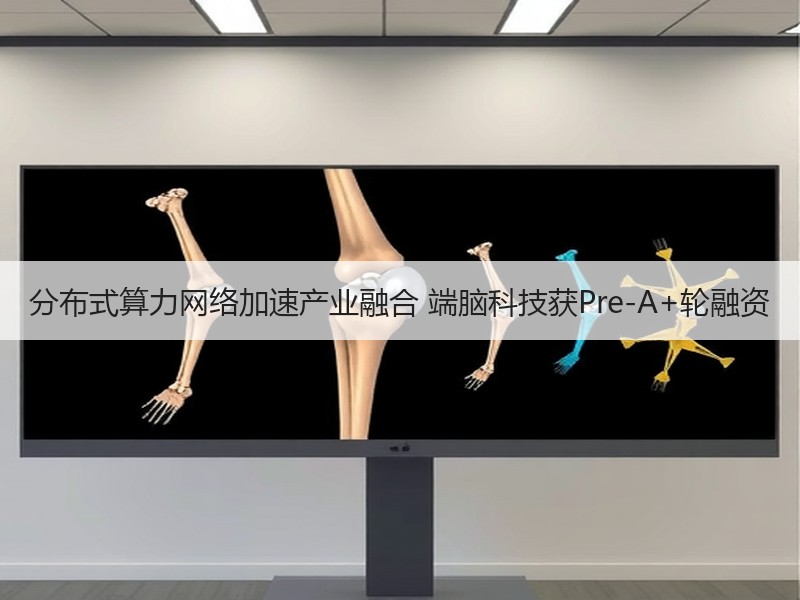 分布式算力网络加速产业融合 端脑科技获Pre-A+轮融资 分布式算力网络加速产业融合 端脑科技获Pre-A+轮融资