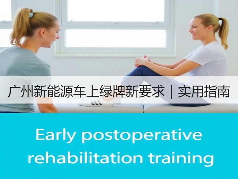 广州新能源车上绿牌新要求｜实用指南