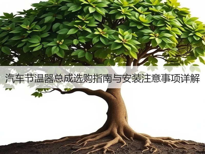 汽车节温器总成选购指南与安装注意事项详解 汽车节温器总成选购指南与安装注意事项详解