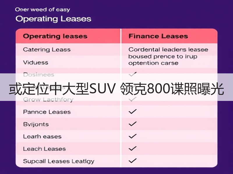 或定位中大型SUV 领克800谍照曝光