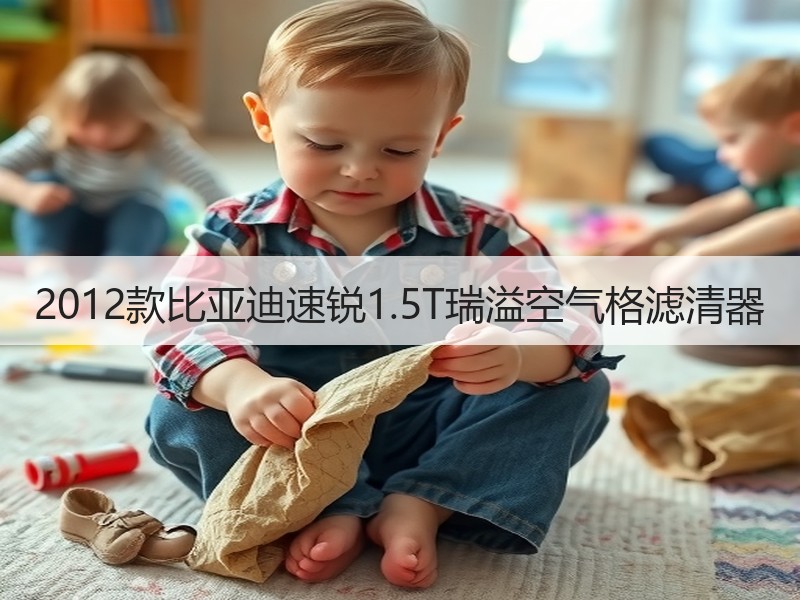 2012款比亚迪速锐1.5T瑞溢空气格滤清器