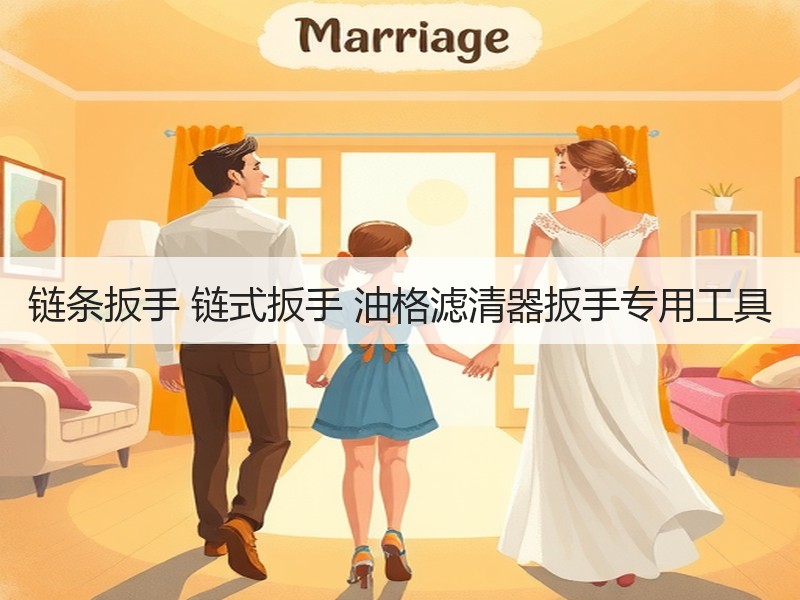 链条扳手 链式扳手 油格滤清器扳手专用工具